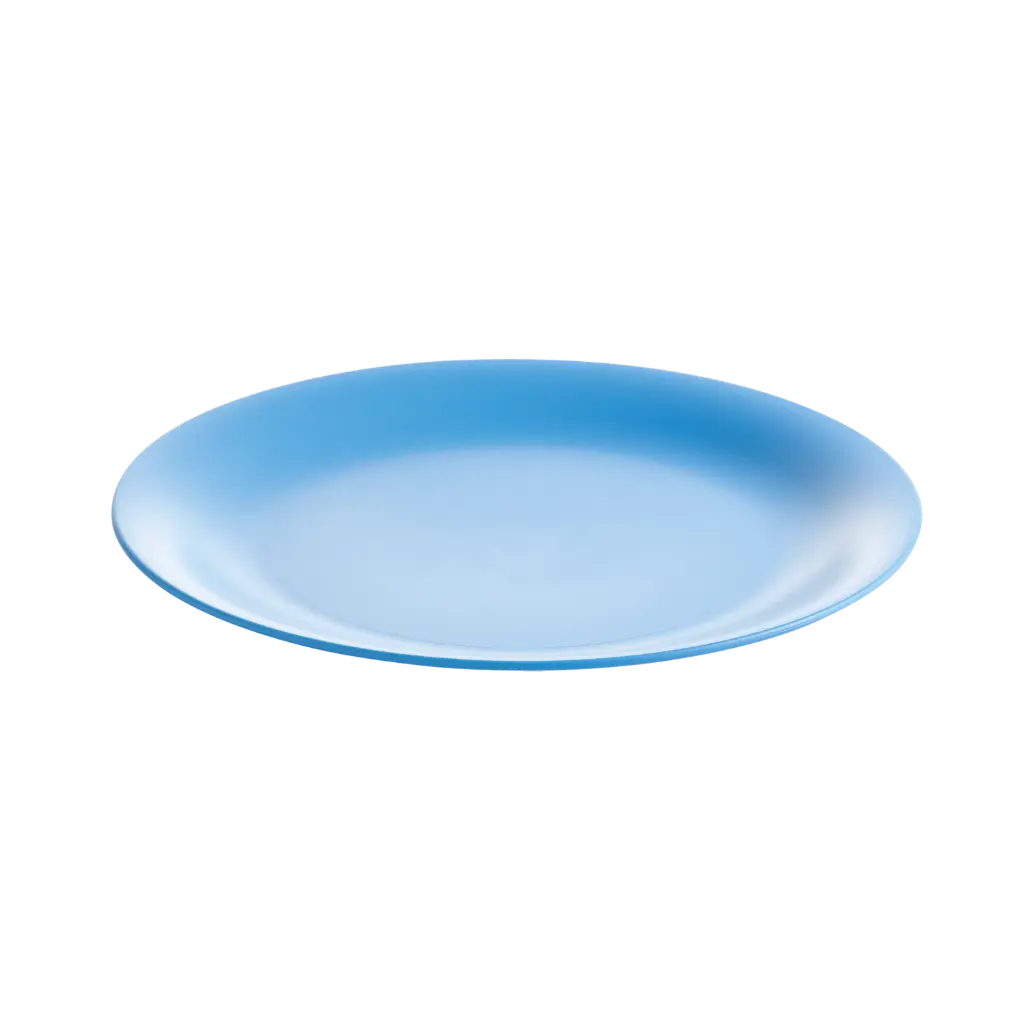 Lifestyle - Dinner Plate 