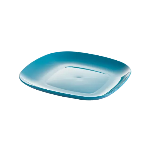 Eden Basics - Dinner Plate 