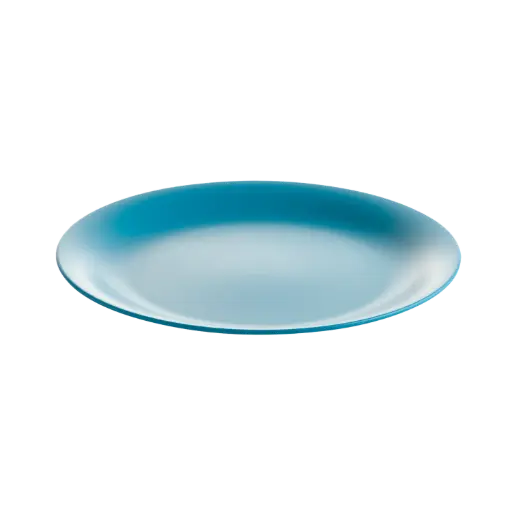 Lifestyle - Dinner Plate 